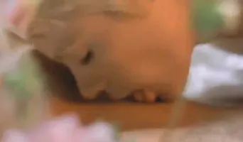 Six Swedes On A Campus (1980)