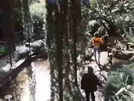 A Variety of Chance Sexual Meetings