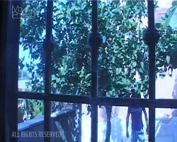 Alla Padane Piace Il pacco