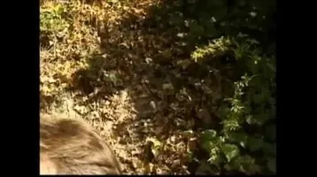 Anna Malle The Delegate