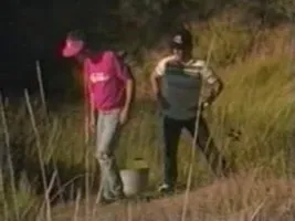 California Native - 1988