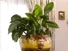 Das Literaturquintett