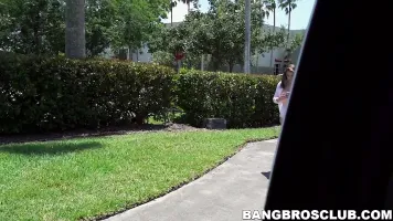 Delectable teen Britt James picked up and fucked hard