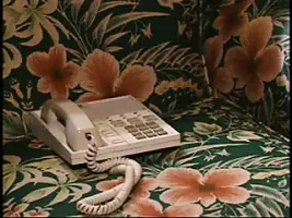 Devil in a Wet T Shirt - Entire Vintage Anal Movie