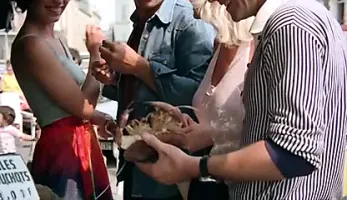 Echanges de Partenaires (1976)