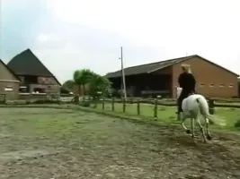 Family Inc. 1 - full German movie