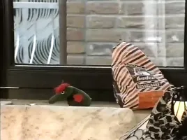 Frau Poppins Hurry To Help