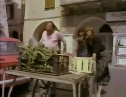 Gefallene Suedfruechte