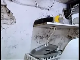 GEILE REIFE FOTZE 317