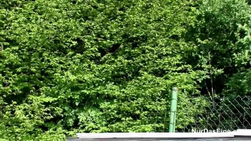 German Mother get Fuck Public with two young German Boys