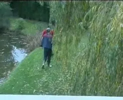 Gros Porc dechire Une MILF