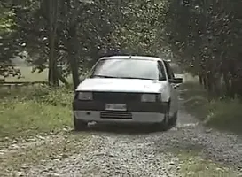 Hairy Milfs, Step Moms and Matures from Italy. (Complete)