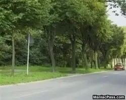 I love your car and your boner