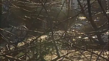 Im Bann Meins Feindes