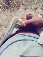 Indian porn in Village