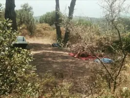 Island Of St. Tropez