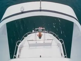 Jaime Pressly - Dead or Alive