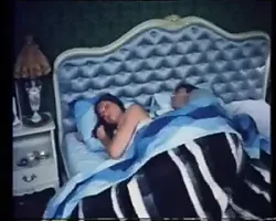 Karleksvireln (1976)