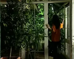 La Signora Degli Uccelli (Nymphomaniac)