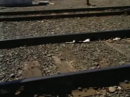 Lawrence T. Cole Classics