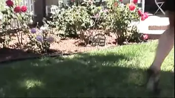 Melanie monroe lesbian