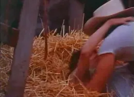 Moonshine Girls - part 1 of 2 - BSD