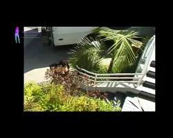 Nina Hartley Mix Part 1