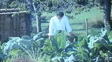 No More Tips, No More Cream