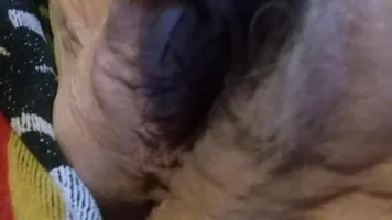 Old fat cunt masturbating with wand