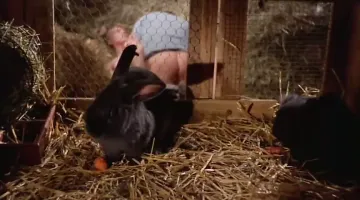 old fat farmer with beauty