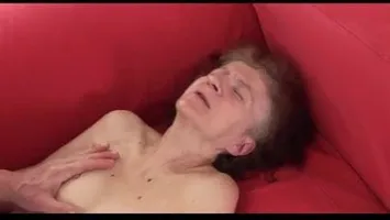 Old young new collection