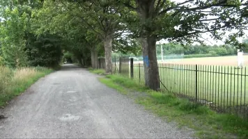 Playful in Preston - Sarah Jane (Full)