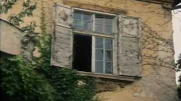 Porn From The Vault - Vol 31