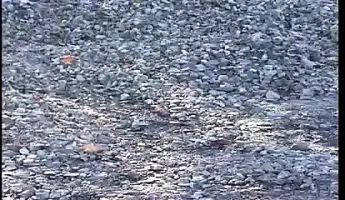 Port Du Casque Obligatoire