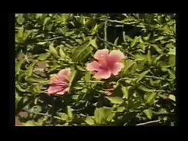 Randi Storm - Hot Under Water Sex in a Pool