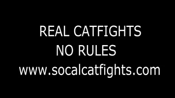 REAL CATFIGHTS NO RULES