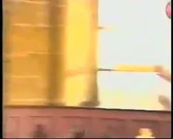 Shagnasty and Muttley