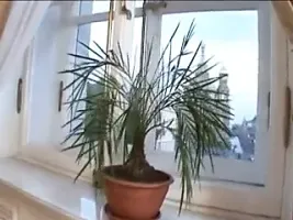 Some great Italian milfs