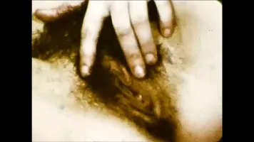 The Photographer’s Life