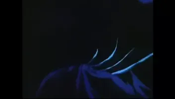 The Prophecy is fulfilled!