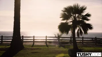 TUSHY Tori Black Needs A DP NOW