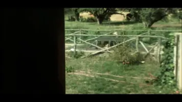 Valentina Ragazza In Calore