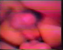 Vanessa Del Rio Threesome