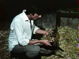 vintage - sweet savage french xxxx mc3