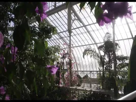 Vita and Virginia (2018) - Lesbian Scene