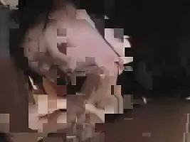 watch tatort familie