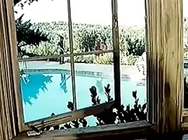 Zofeder Gier- Full Movie